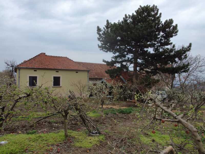 Недвижимость - Дома, дачи и виллы - Два дома 60 и 116 кв.м., 124,5 сотки. 