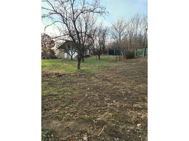 Недвижимость - Дома, дачи и виллы - Загородное поместье с домом 